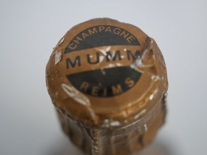 1 Mag CHAMPAGNE BRUT 