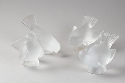 MAISON LALIQUE
« 4 moineaux (différents)...