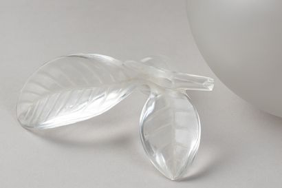 MAISON LALIQUE
« Pomme ; grand format »
Flacon...