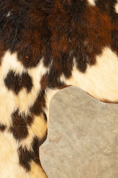 Peau de vache en tapis
242 x 230 cm