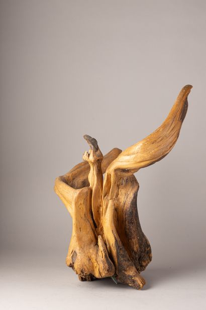TRAVAIL DE MERE NATURE
Racine en bois naturel,
haut...