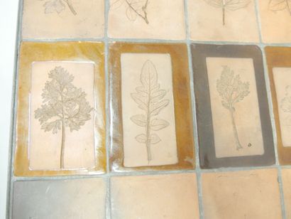 CAPRON ROGER (1922 - 2006) - A. VALLAURIS
Herbarium...