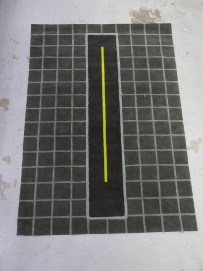 ARTE ESPINA 
Handmade acrylic carpet model...