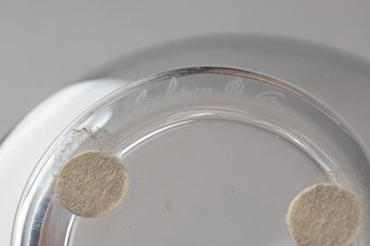 MAISON LALIQUE
« 2 Anémones ; grand format...