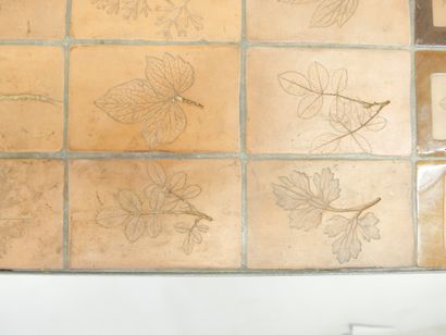 CAPRON ROGER (1922 - 2006) - A. VALLAURIS
Herbarium...