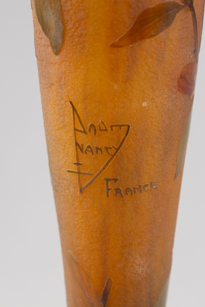 DAUM NANCY
