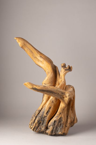 TRAVAIL DE MERE NATURE
Racine en bois naturel,
haut...