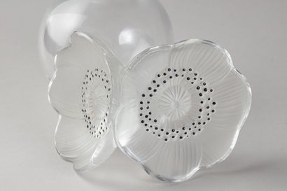 MAISON LALIQUE
« 2 Anémones ; grand format...