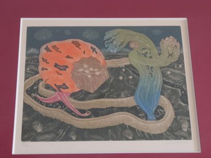 Lot of 2 lithographs: - Flower S. n° 43/75...