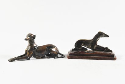 Modern school Sitting greyhound with crossed...