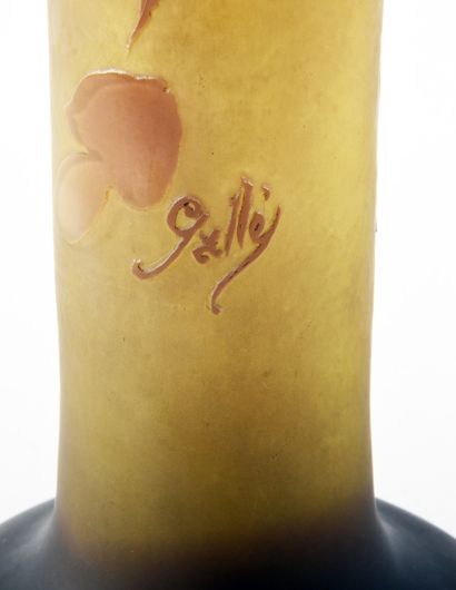 ETABLISSEMENTS GALLE (1904-1936) 
« Glycine...