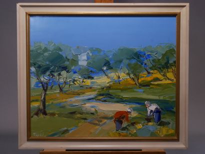 TROZZI Provence countryside or olive picking,...
