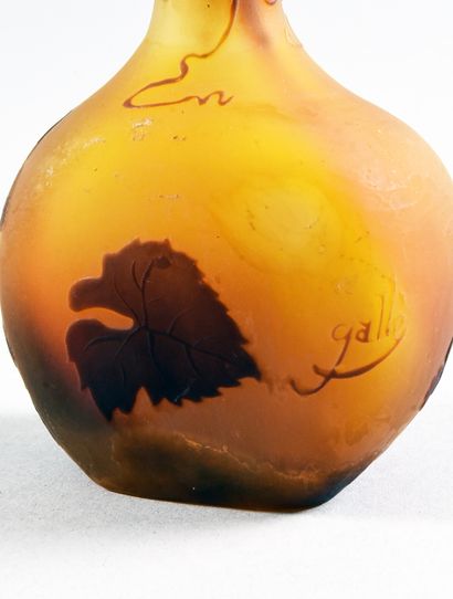 ETABLISSEMENTS GALLE (1904-1936) 
« Ampélopsis...