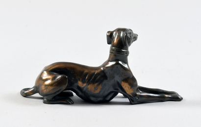 Modern school Sitting greyhound with crossed...