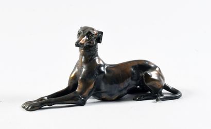 Modern school Sitting greyhound with crossed...