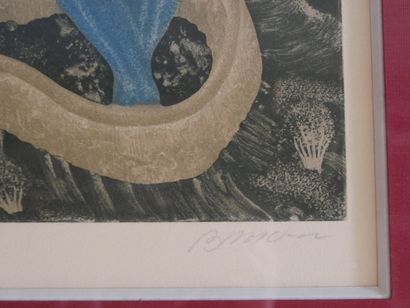 Lot of 2 lithographs: - Flower S. n° 43/75...