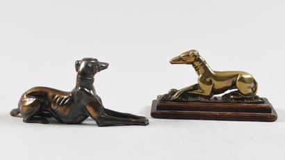 Modern school Sitting greyhound with crossed...