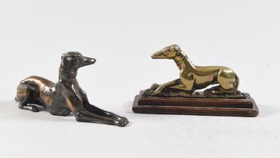 Modern school Sitting greyhound with crossed...