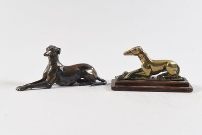 Modern school Sitting greyhound with crossed...