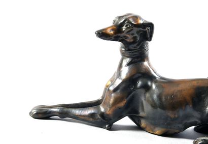 Modern school Sitting greyhound with crossed...