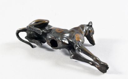 Modern school Sitting greyhound with crossed...