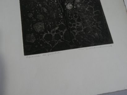 Ensemble de 40 gravures de Lucien Véchar...