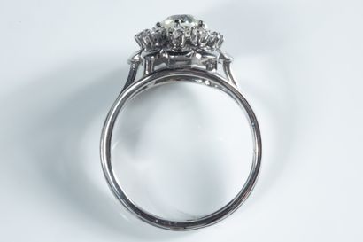 Daisy-shaped ring in white gold ( 750 thousandths)...