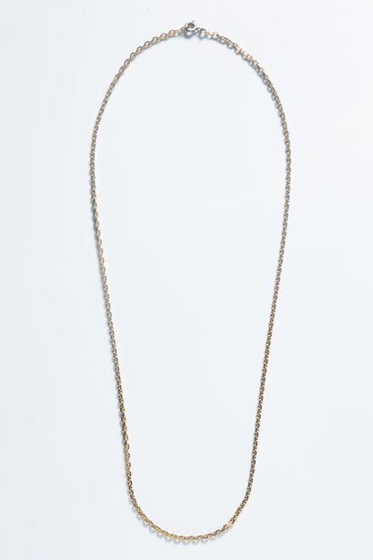 Chaîne maille forçat limée en or jaune (750...