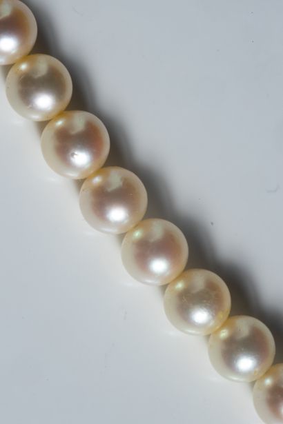 Collier shocker de 78 perles de culture shocker...