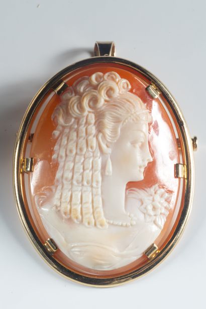 Large brooch pendant centered on a shell...