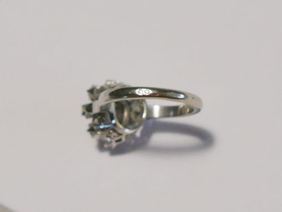 Round daisy ring in white gold (750 thousandths)...