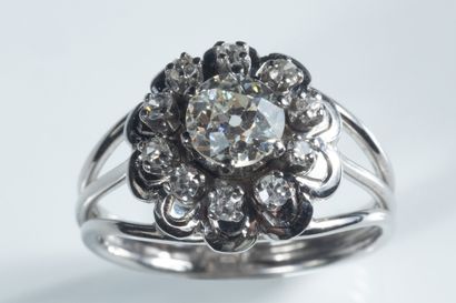 Daisy-shaped ring in white gold ( 750 thousandths)...