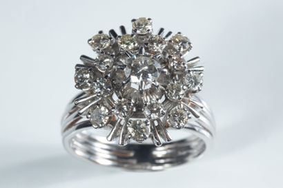 Bague marguerite or gris (750 millièmes)...
