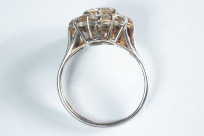 Oval daisy ring in white gold (750 thousandths)...
