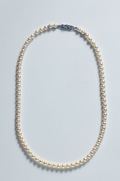 Collier shocker de 78 perles de culture shocker...
