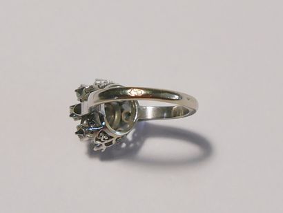 Round daisy ring in white gold (750 thousandths)...