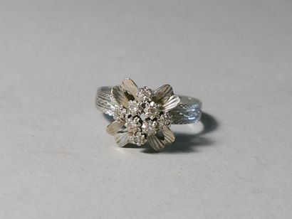 Ring in white gold (750 thousandths) with...