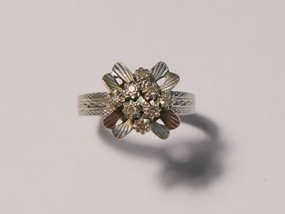 Ring in white gold (750 thousandths) with...