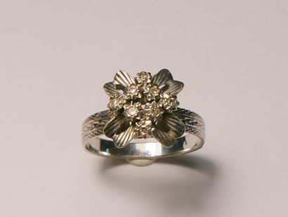 Ring in white gold (750 thousandths) with...