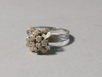 Ring in white gold (750 thousandths) with...