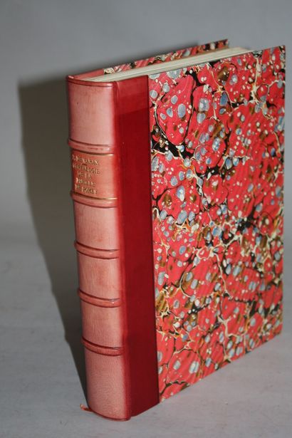 VARAX. Genealogy of the de Pomey Family Its...