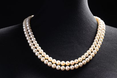 Large double-row shocker necklace with 66...