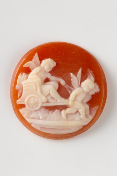 Round shell cameo depicting a cherub seated...