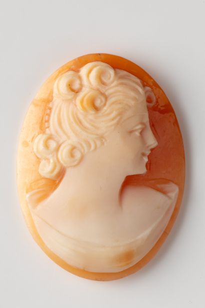Oval shell cameo with profile of a woman...