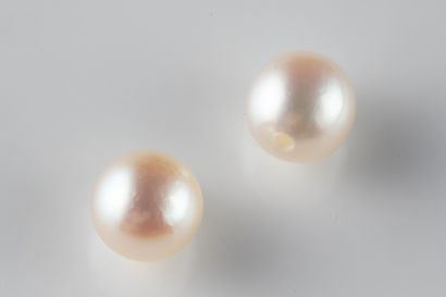 2 white cultured pearls with a piercing hole...