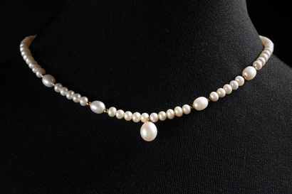 Freshwater and Chinese cultured pearl necklace....