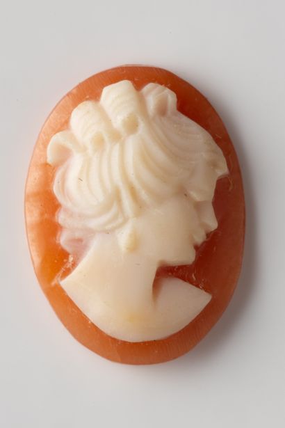 Oval shell cameo with profile of a woman...