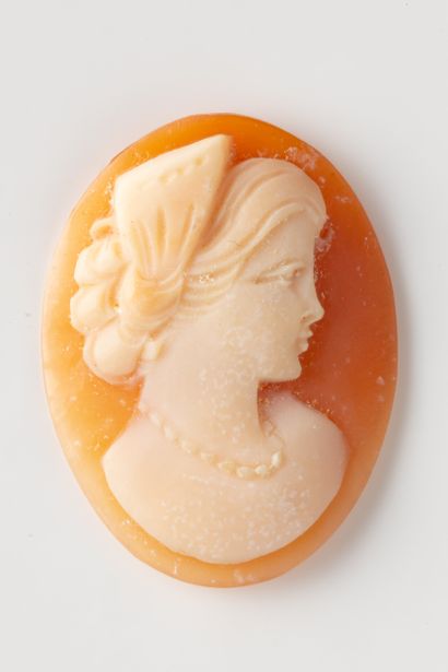 Oval shell cameo with profile of a woman...
