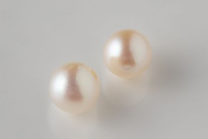 2 white cultured pearls with a piercing hole...