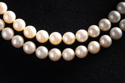 Large double-row shocker necklace with 66...